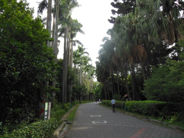 台北植物園内の風景